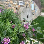 Bluvari' Charming House Alassio