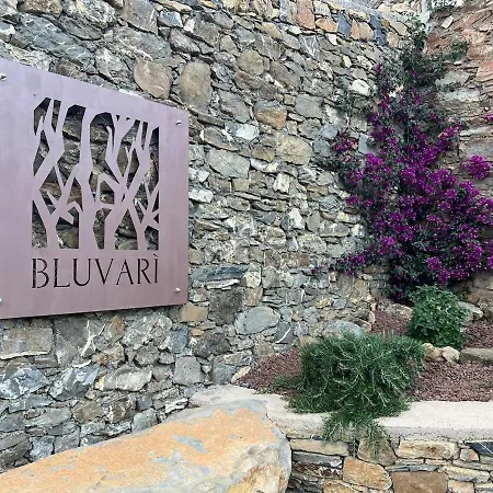 Bluvari' Charming House Alassio