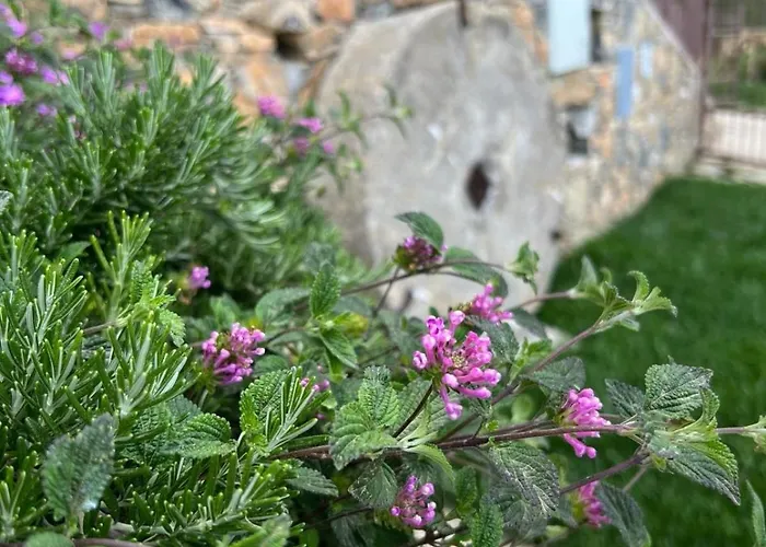 Bluvari' Charming House Alassio